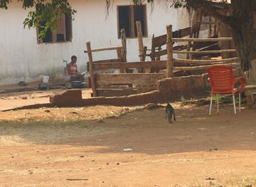 ghana/brong-ahafo/landmark/boabeng-fiema-monkey-sanctuary
