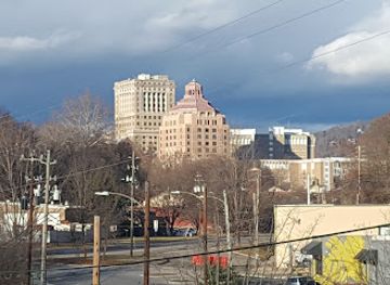 north-carolina/asheville/landmark/asheville-tourists