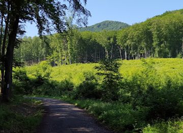 hungary/matra-mountains/landmark/ilona-valley-waterfall