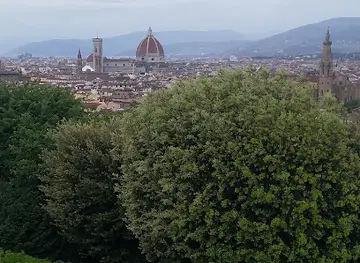 Italy Market Valdichiana