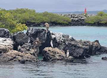 ecuador/puerto-ayora/landmark/guiding-galapagos-expeditions