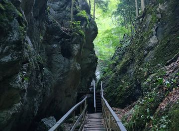 austria/vienna-woods/landmark/wildschutzenloch