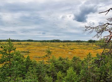 finland/koli-national-park/landmark/valkmusa-national-park