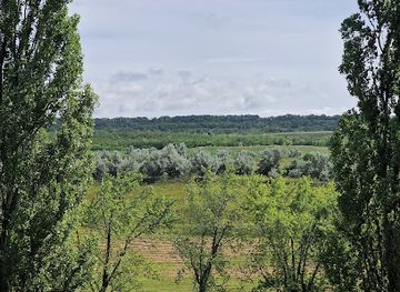 moldova/taul-park/landmark/suta-de-movile