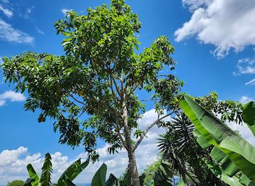 honduras/santa-barbara-region/landmark/la-comunidad