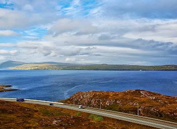 faroe-islands/koltur/landmark/the-atlantic-swan
