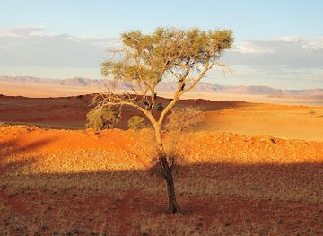 namibia/etosha-national-park/landmark/tok-tokkie-hiking-trails