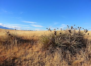 colorado/eastern-plains/landmark/bluestem-prairie-open-space