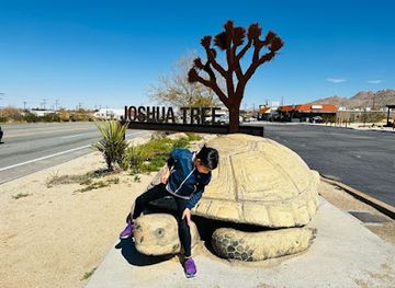 california/joshua-tree/landmark/rock-rapture-jewelry-and-gift-gallery-the-joshua-tree-art-gallery-jtag