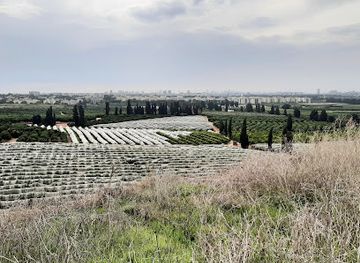 israel/raanana/landmark/restored-garbage-mountain
