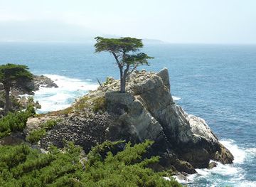 california/big-sur/landmark/carmel-mission-basilica-museum