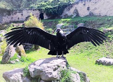 ecuador/central-sierra/landmark/condor-park