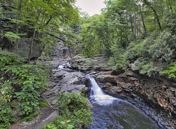pennsylvania/scranton/landmark/nay-aug-falls