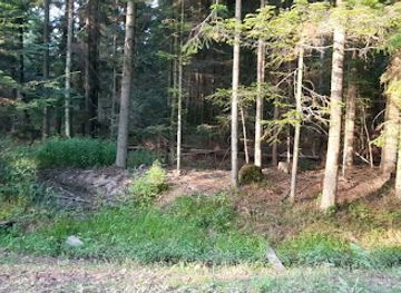 poland/holy-cross-mountains/landmark/lysogory