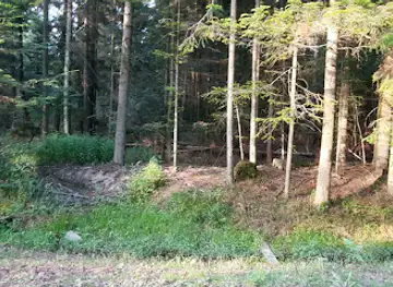 Łysogóry