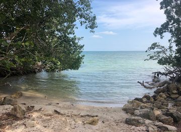 belize/corozal-district/landmark/mangrove-park
