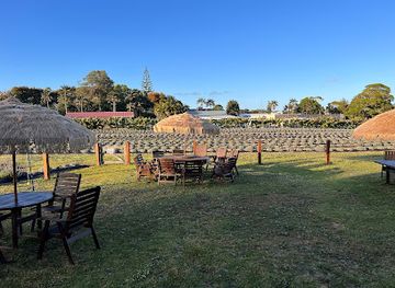 norfolk-island/cascade/landmark/lavender-farm-fitzys-farm