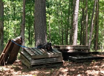 alabama/talladega-national-forest/landmark/talladega-national-forest-mann-camp