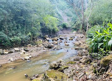 honduras/sula-valley/landmark/macaw-mountain-bird-park