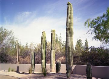 arizona/mesa/landmark/park-of-canals