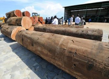 gabon/minkebe-national-park/landmark/association-mekok-me-bone