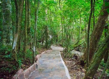 costa-rica/monteverde-cloud-forest/landmark/reserva-aguti