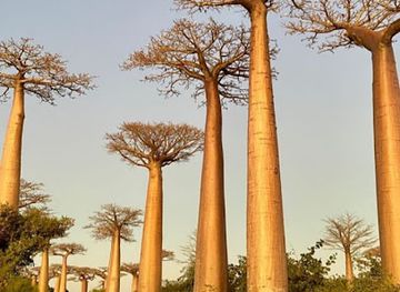 madagascar/antananarivo/landmark/madacartour