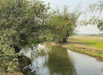 bangladesh/ratargul-swamp-forest/landmark/turung-chora