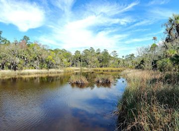 florida/suwannee-river/landmark/lower-suwannee-national-wildlife-refuge