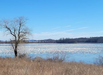 pennsylvania/dutch-country/landmark/middle-creek-wildlife-management-area