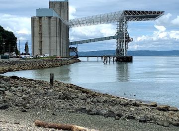 washington/tacoma/landmark/thea-s-park