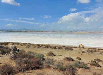 cyprus/larnaca/landmark/salt-lake-view-point