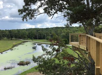 tennessee/sequatchie-valley/landmark/bigfoot-adventure-tn-zipline