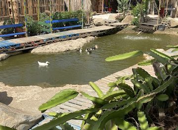 aruba/paradera/landmark/oasis-farm