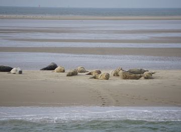 netherlands/wadden-islands/landmark/engelschhoek