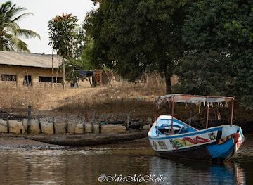 the-gambia/kombo-south/landmark/black-and-white-safari