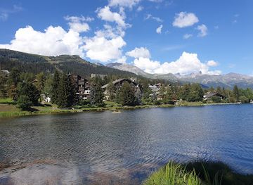 switzerland/crans-montana/landmark/adrenatur-fun-forest