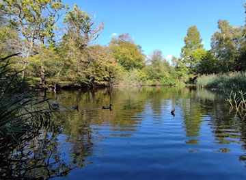 united-kingdom/essex/landmark/danbury-country-park