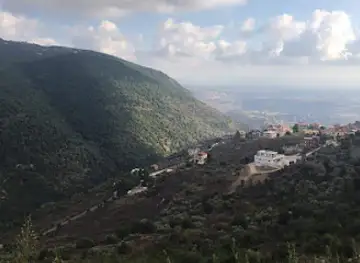الوادي الاخضر