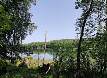 germany/mecklenburg/landmark/seen-und-bruchlandschaft-sudlich-alt-gaarz-nature-reserve