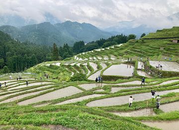 japan/ise/landmark/maruyama-senmaida