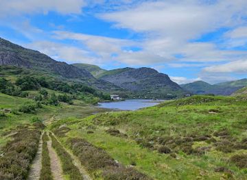 united-kingdom/snowdonia-national-park/landmark/coedydd-maentwrog-national-nature-reserve