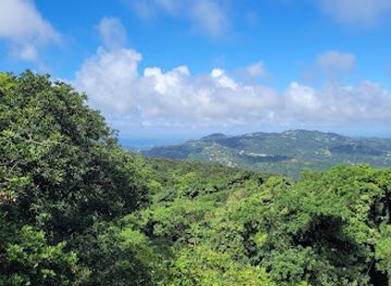 saint-lucia/canaries/landmark/rainforest-adventures-st-lucia