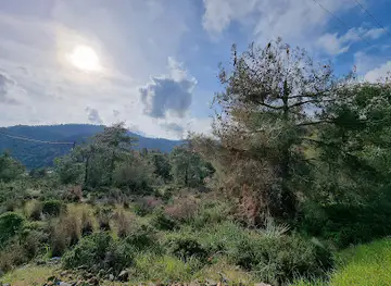 Μονοπάτι Φύσης Μαχαιράς - Λαζανιάς Machairas - Lazania Nature Trail
