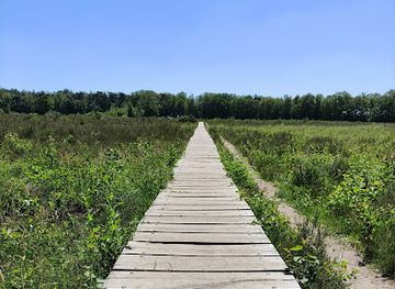 netherlands/north-brabant/landmark/vlonderpad-mastbos