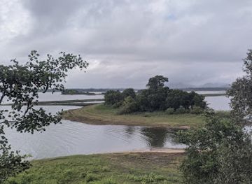 sri-lanka/up-country/landmark/minneriya-national-park