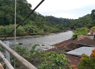 Bukit Lawang Orangutan Trekking