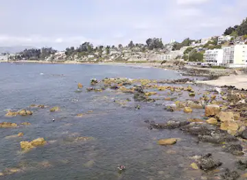 Caleta Higuerillas