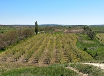 moldova/bessarabia/landmark/suta-de-movile