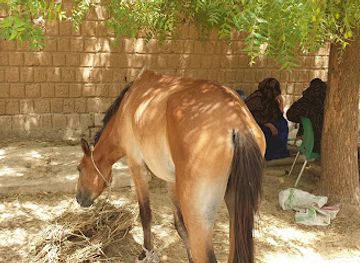 mali/timbuktu-region/landmark/ethnological-museum-timbuktu